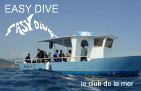 Easy Dive
